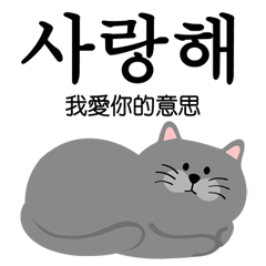 [LINEスタンプ] 毎日がいい日です˙灰色の猫の画像（メイン）