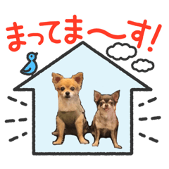 [LINEスタンプ] らぶさんまろさんスタンプ2