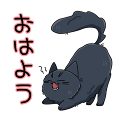 [LINEスタンプ] もこもこ黒猫天ちゃん