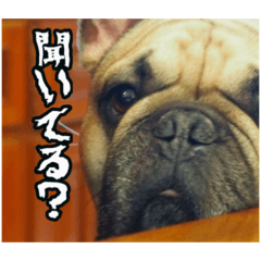 [LINEスタンプ] すこかねさすこじ