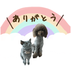 [LINEスタンプ] デカプー♡かぐらランド(文字大きめver.)