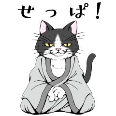 [LINEスタンプ] ねこらかん ハッカイ Designed by Taishi