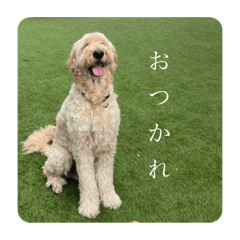 [LINEスタンプ] TONOの