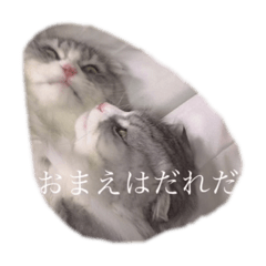 [LINEスタンプ] モフねこモフうさ2