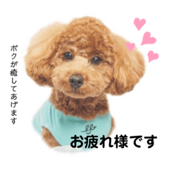 [LINEスタンプ] トイプードルのテテ 2