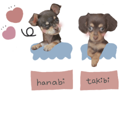 [LINEスタンプ] ♡たきびちゃん＆はなびちゃん