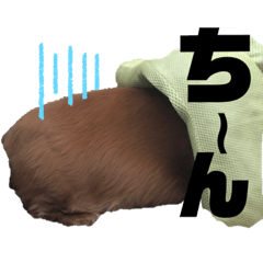 [LINEスタンプ] らぶぞぅa