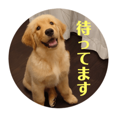 [LINEスタンプ] むぎ山さん