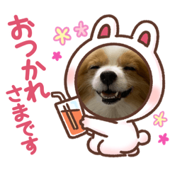 [LINEスタンプ] ありしなちゃんのすたんぷ