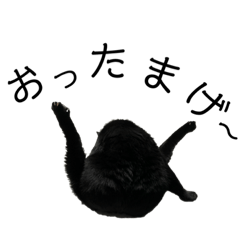 [LINEスタンプ] NEKOKKOスタンプ④