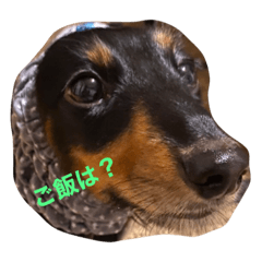 [LINEスタンプ] いちゅきとしんちゃん