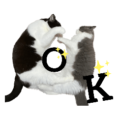 [LINEスタンプ] とねパークのスタンプ