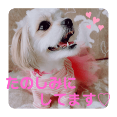[LINEスタンプ] ミルスタンプ②