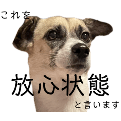 [LINEスタンプ] すんたらすたんぷ(多1)
