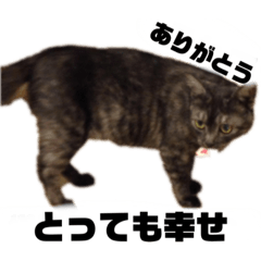 [LINEスタンプ] わさびの家族です。