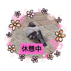 [LINEスタンプ] どうですかね？