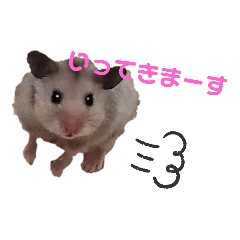 [LINEスタンプ] ＊こなつスタンプ＊
