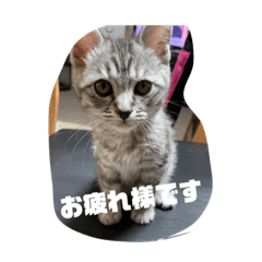 [LINEスタンプ] マックの一言