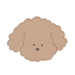 [LINEスタンプ] Achibiy_かわいいトイプー