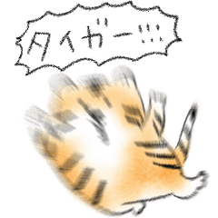 [LINEスタンプ] シンプル とら 日常会話 ダジャレ