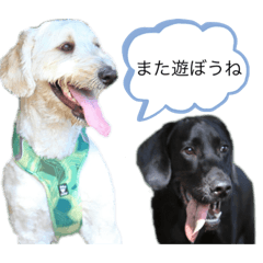 [LINEスタンプ] Lilly ＆Jimmy