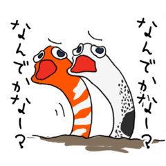 [LINEスタンプ] チン先生とニシキ君。