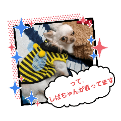 [LINEスタンプ] ラナくん5