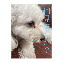 [LINEスタンプ] ビジョンララちゃん