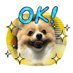 [LINEスタンプ] クゥの日常生活