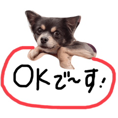 [LINEスタンプ] チワワのミロち4