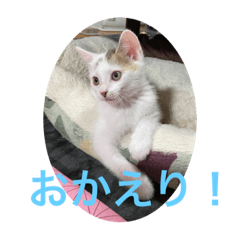 [LINEスタンプ] ごまこの日常2