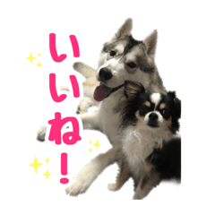 [LINEスタンプ] もふもふのおともだち①