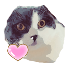 [LINEスタンプ] 大人のトンちゃん