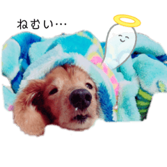 [LINEスタンプ] 犬づくし