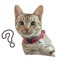 [LINEスタンプ] はるプリン(2)