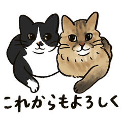 [LINEスタンプ] 猫ちゃんとの暮らし