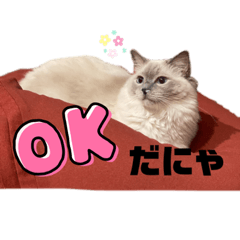 [LINEスタンプ] COCOちゃんとテリちゃん♡ fetchpriority=high