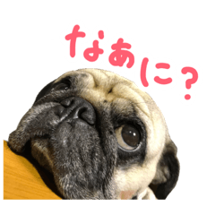 [LINEスタンプ] すぱむとはな fetchpriority=high