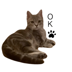 [LINEスタンプ] ガブリエル 1 