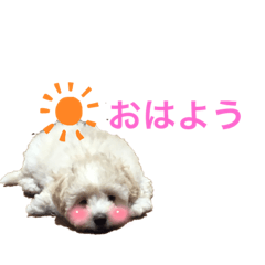 [LINEスタンプ] 癒しのマルプースタンプ 