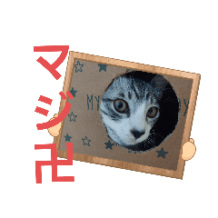 [LINEスタンプ] さとうのねこスタンプ2 