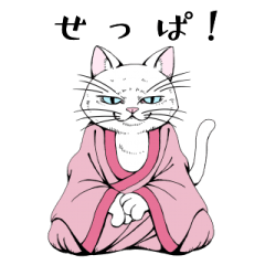 [LINEスタンプ] ねこらかん シロボウ Designed by Taishi