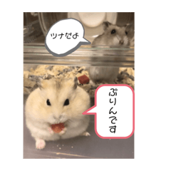 [LINEスタンプ] ぷりん＆ツナ 
