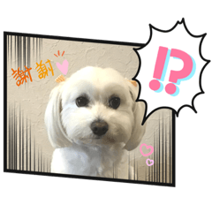 [LINEスタンプ] まったりめるるん❣️ 