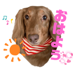 [LINEスタンプ] らぶぞぅ友達