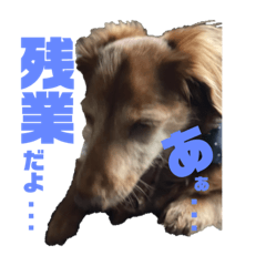 [LINEスタンプ] らぶぞぅg