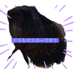 [LINEスタンプ] 我が家の淡水魚の日常