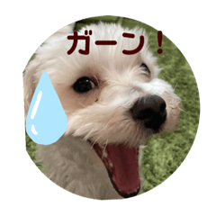 [LINEスタンプ] リイシューちゃん4