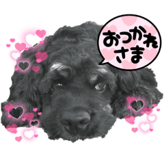 [LINEスタンプ] アメコカぽぽちゃん