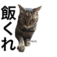[LINEスタンプ] わたしがあのべべ